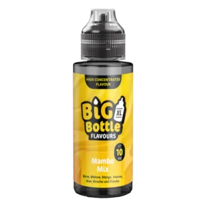 Big Bottle - Longfills 10 ml - Mambo Mix