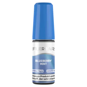Flerbar Liquid - Nikotinsalz Liquid - Blueberry Mint