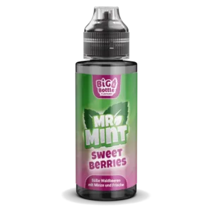 Mr. Mint by Big Bottle - Longfills 10 ml - Sweet Berries