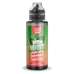 Mr. Mint by Big Bottle - Longfills 10 ml - Watermelon